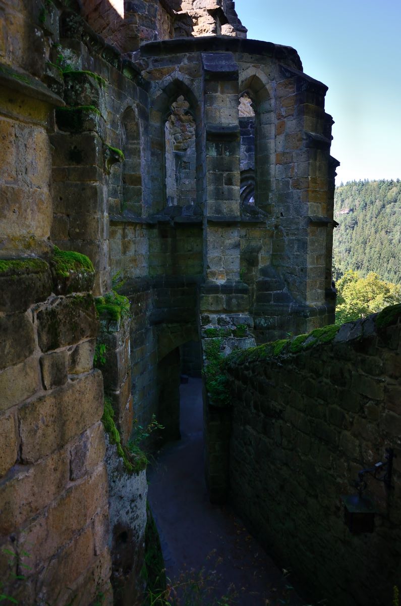 DSC_0872n.jpg