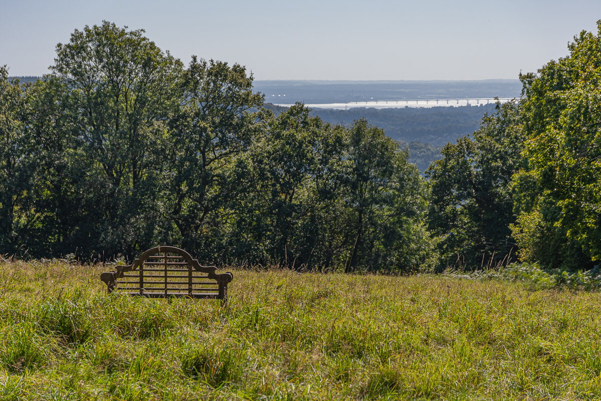 DSC_0875.jpg