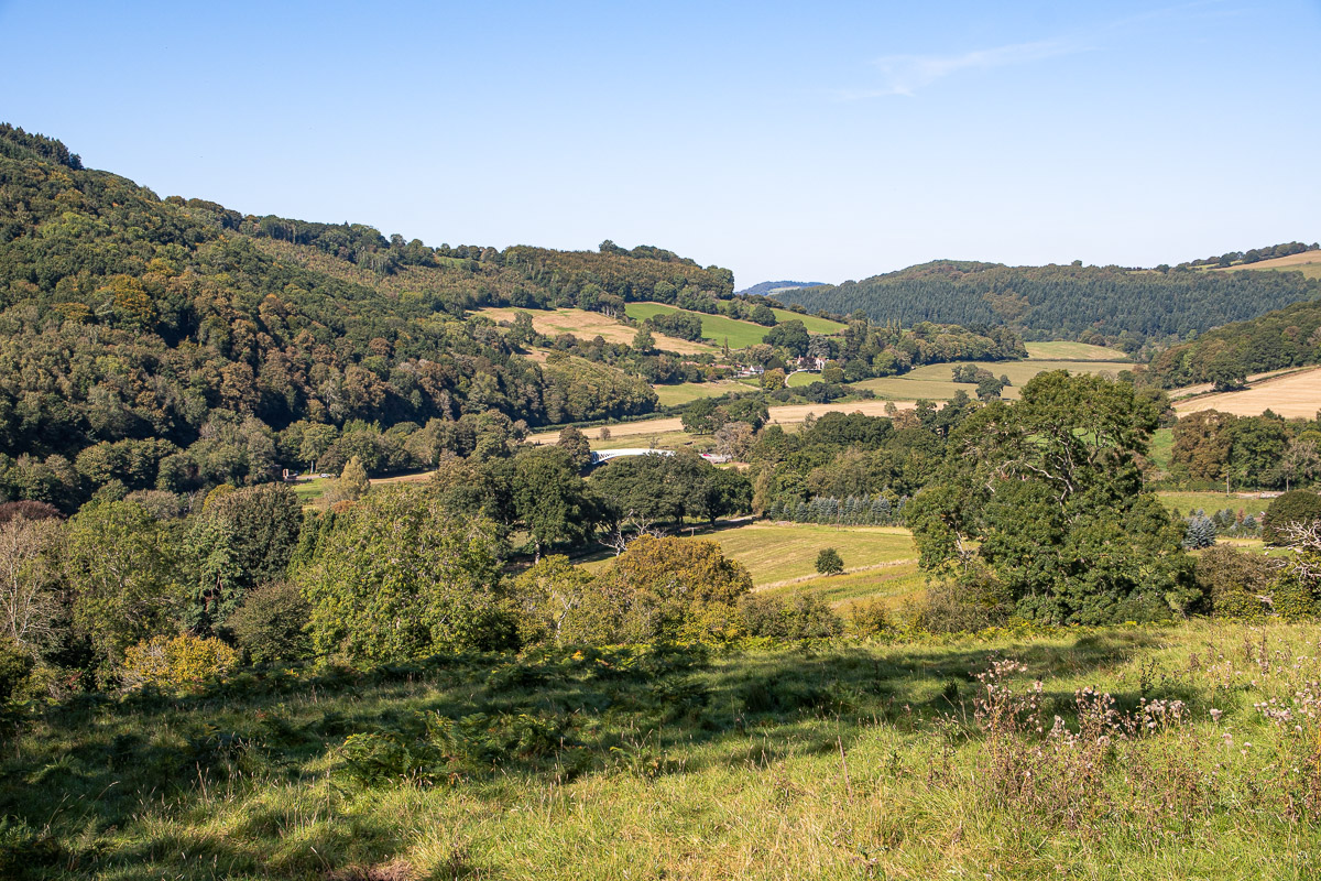 DSC_0878.jpg