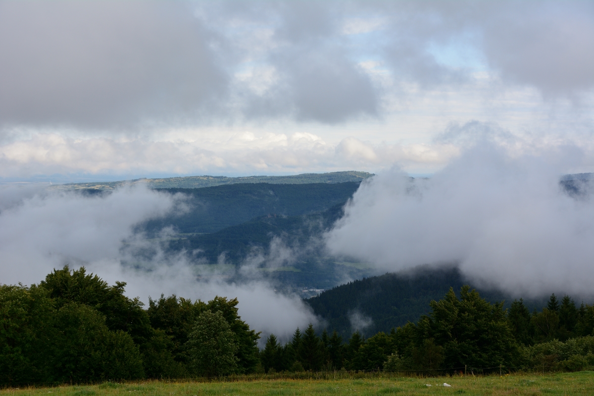 DSC_0893_00001_01n.jpg