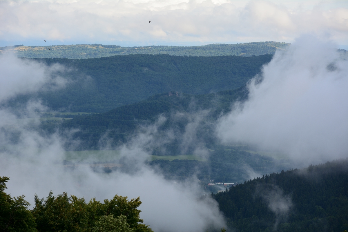 DSC_0894_00002n.jpg