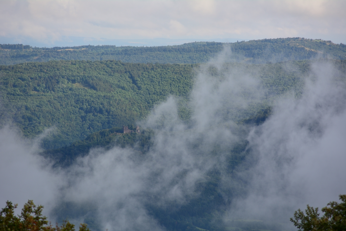 DSC_0899_00006n.jpg