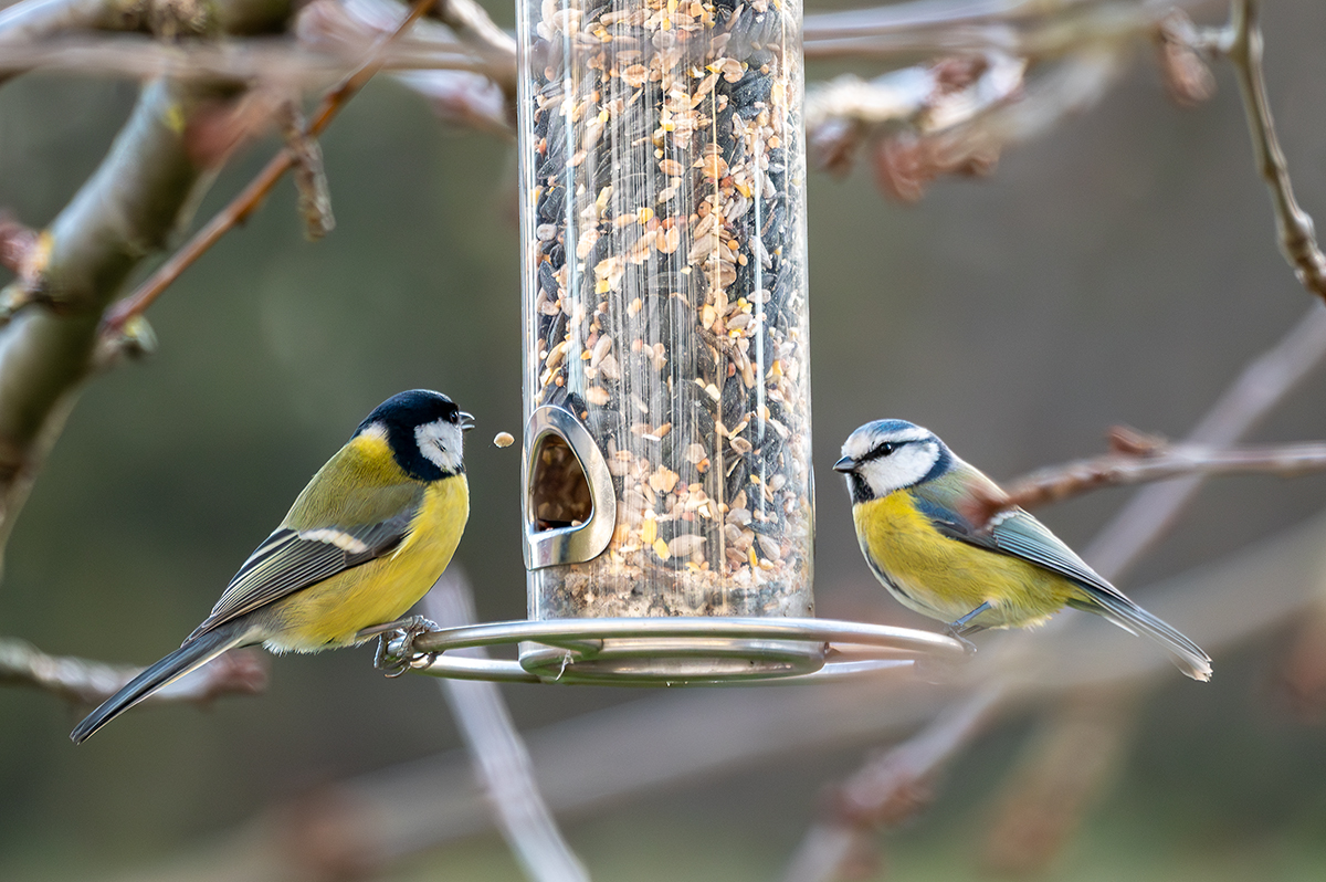 DSC_0902.jpg