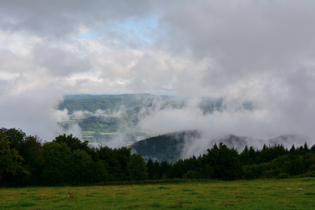 DSC_0904_00007n.jpg