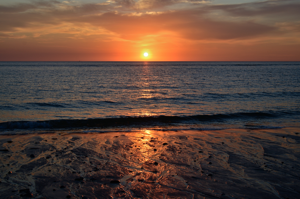 DSC_0911.JPG