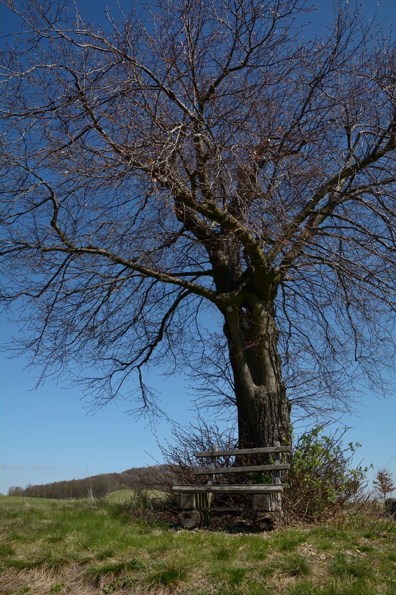 DSC_0912_00001n.jpg