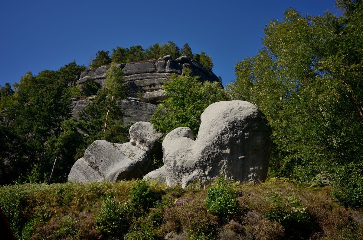 DSC_0913_00001n.jpg