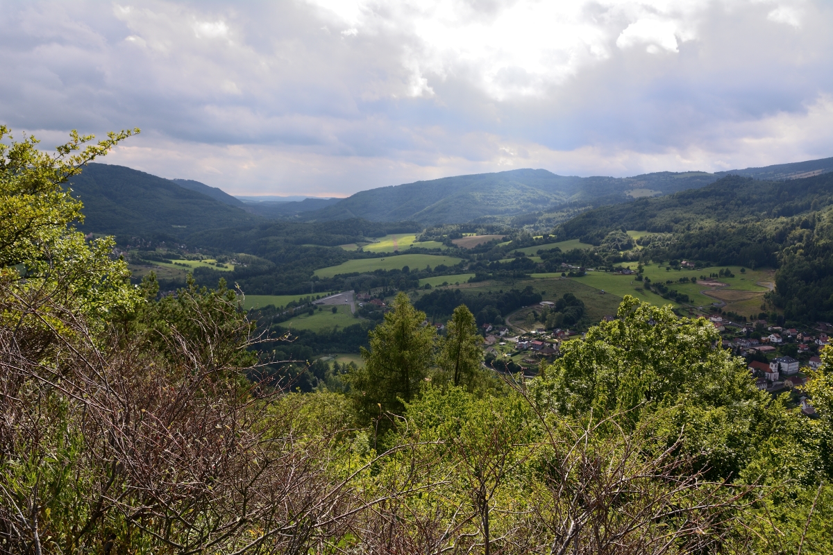 DSC_0958_00009n.jpg
