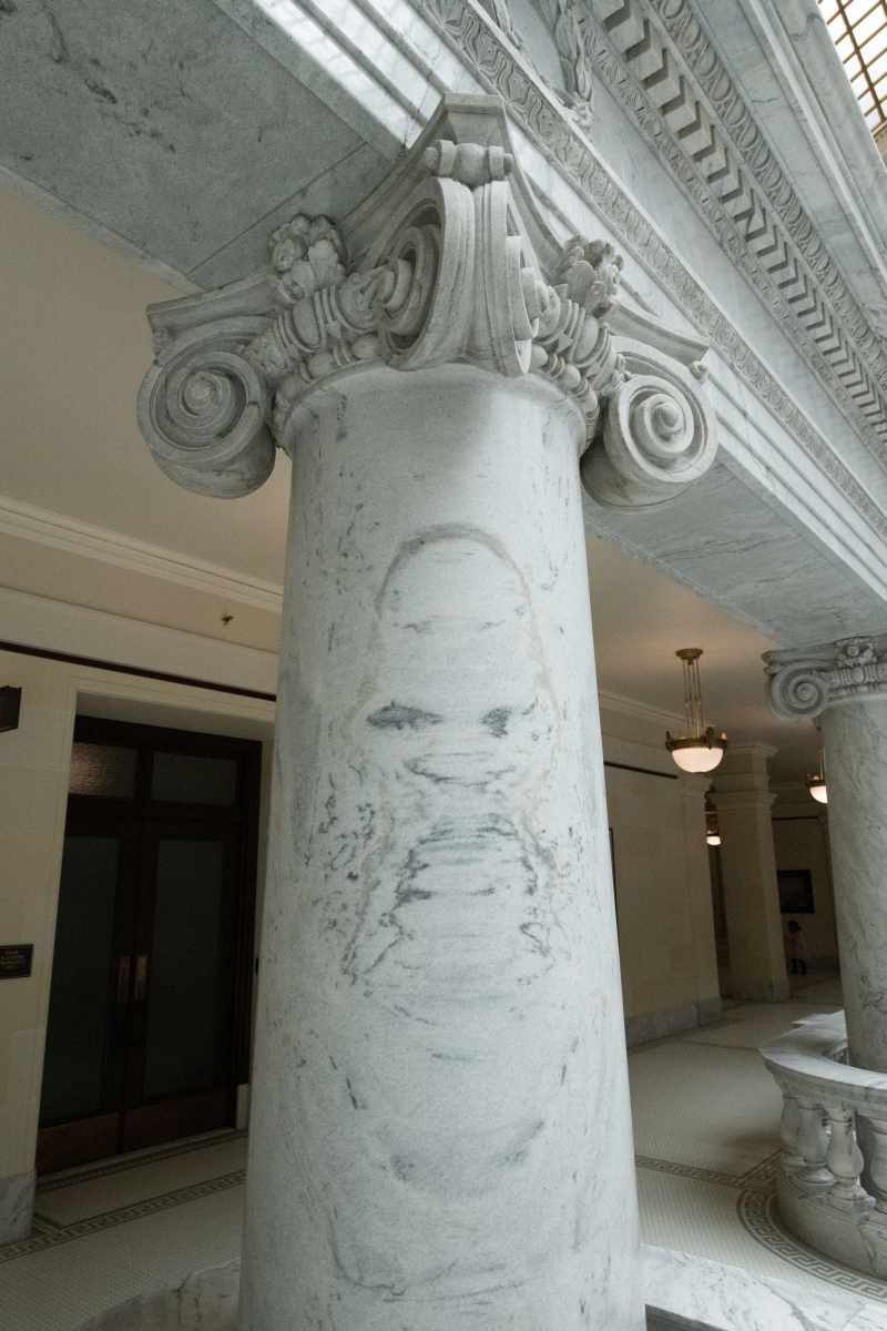 DSC_0959.jpg
