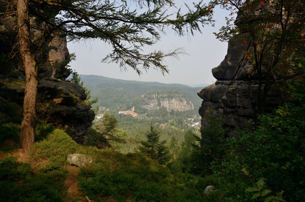 DSC_0960_00001n.jpg