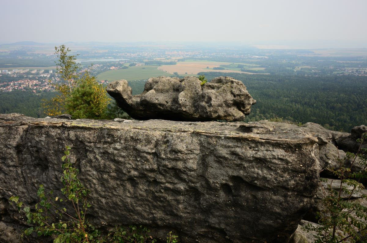 DSC_0968_00001n.jpg