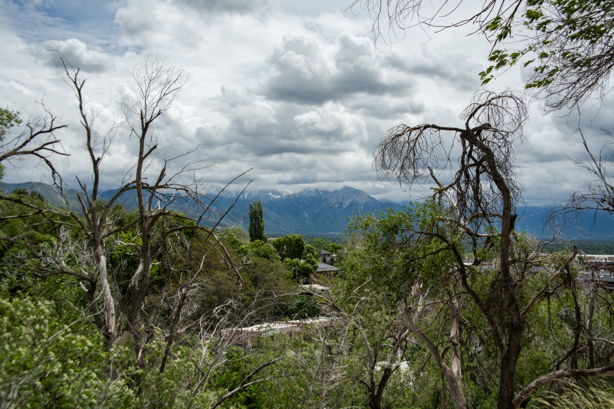 DSC_0970.jpg