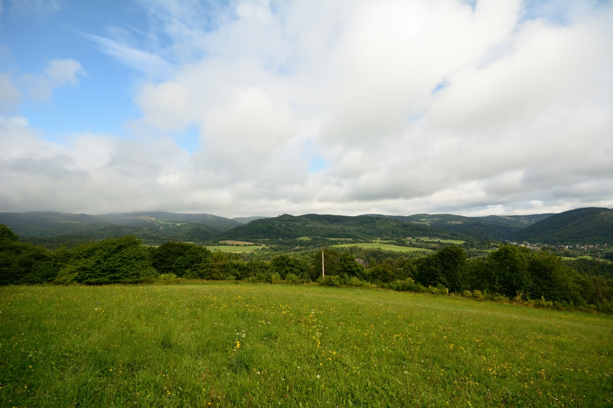 DSC_0977_00014n.jpg