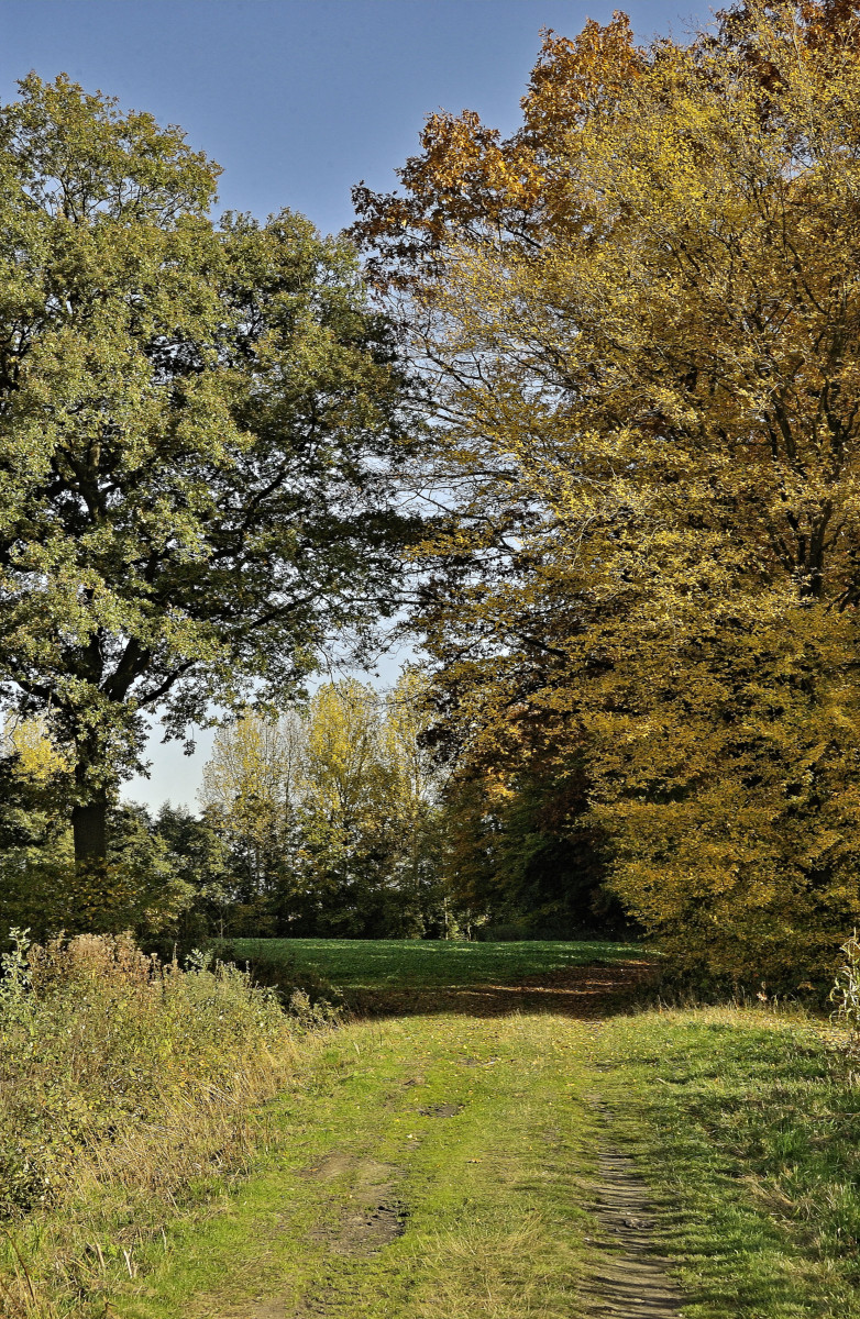 DSC_0978_DxOxl.jpg