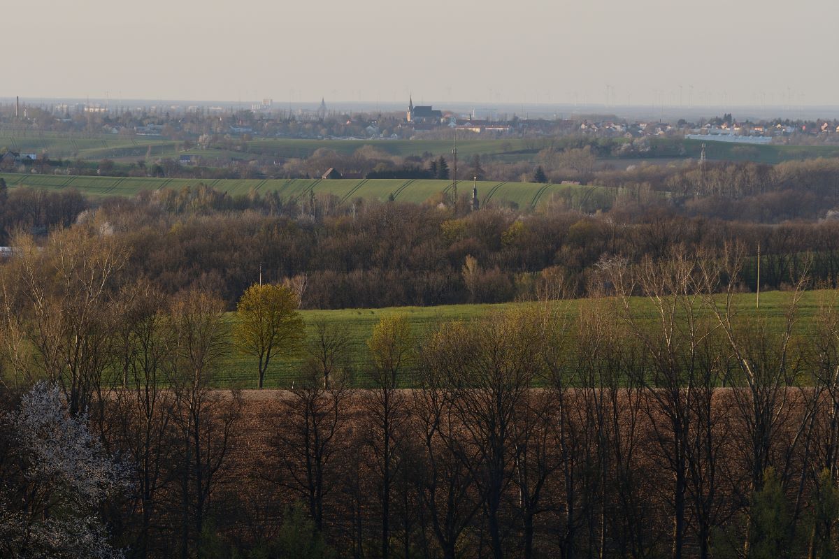 DSC_0988_00001n.jpg