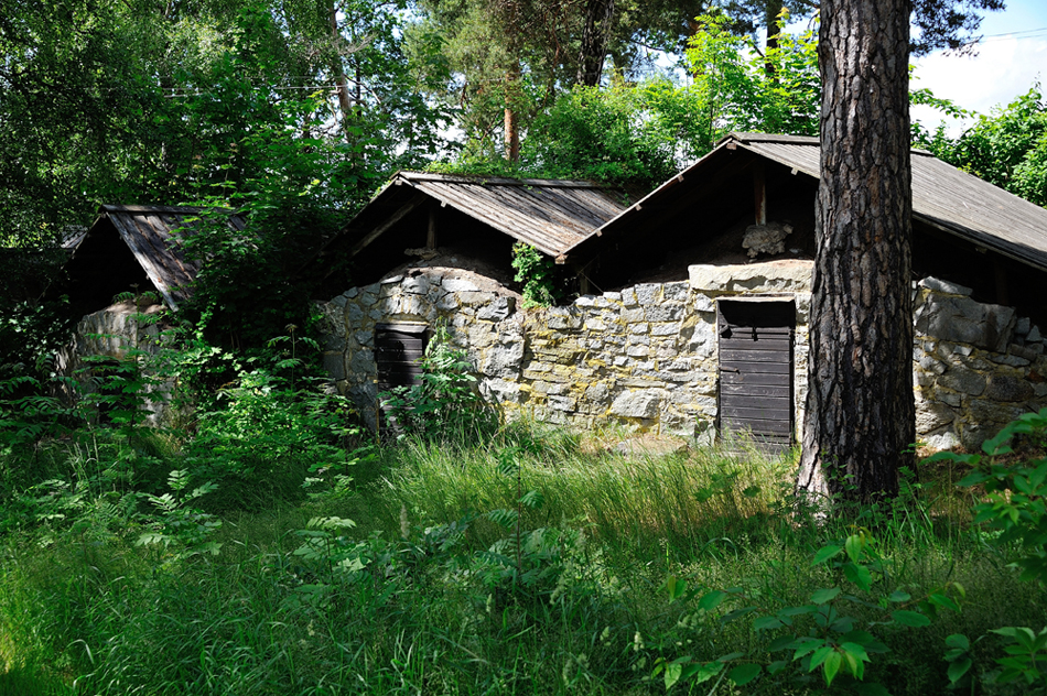 DSC_1004.jpg