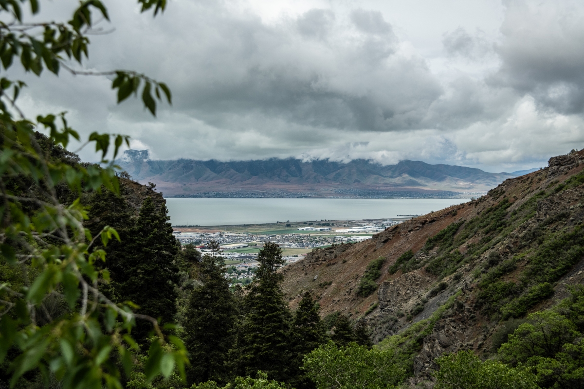 DSC_1005.jpg
