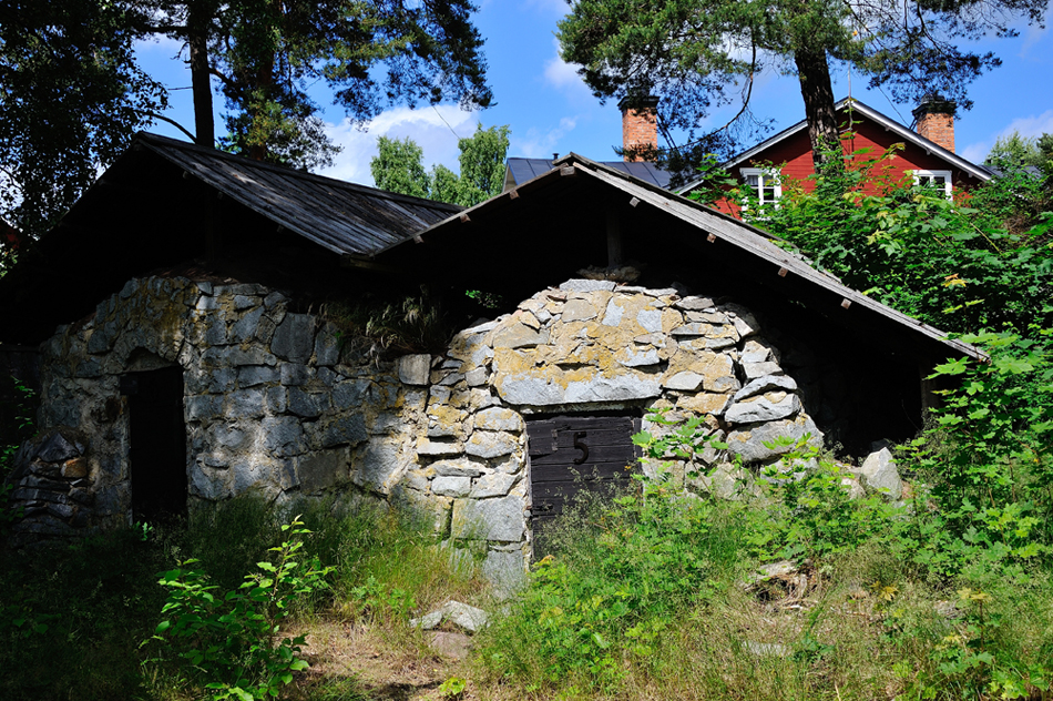 DSC_1005.jpg