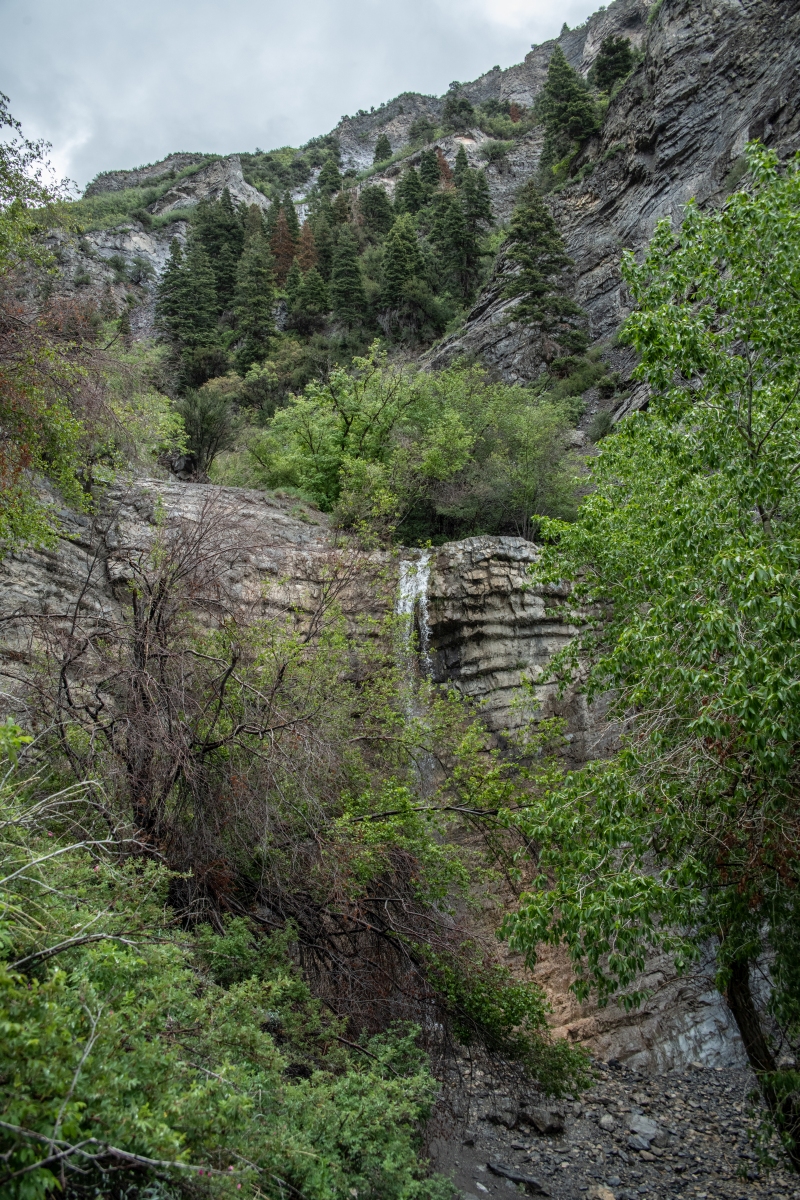 DSC_1006.jpg