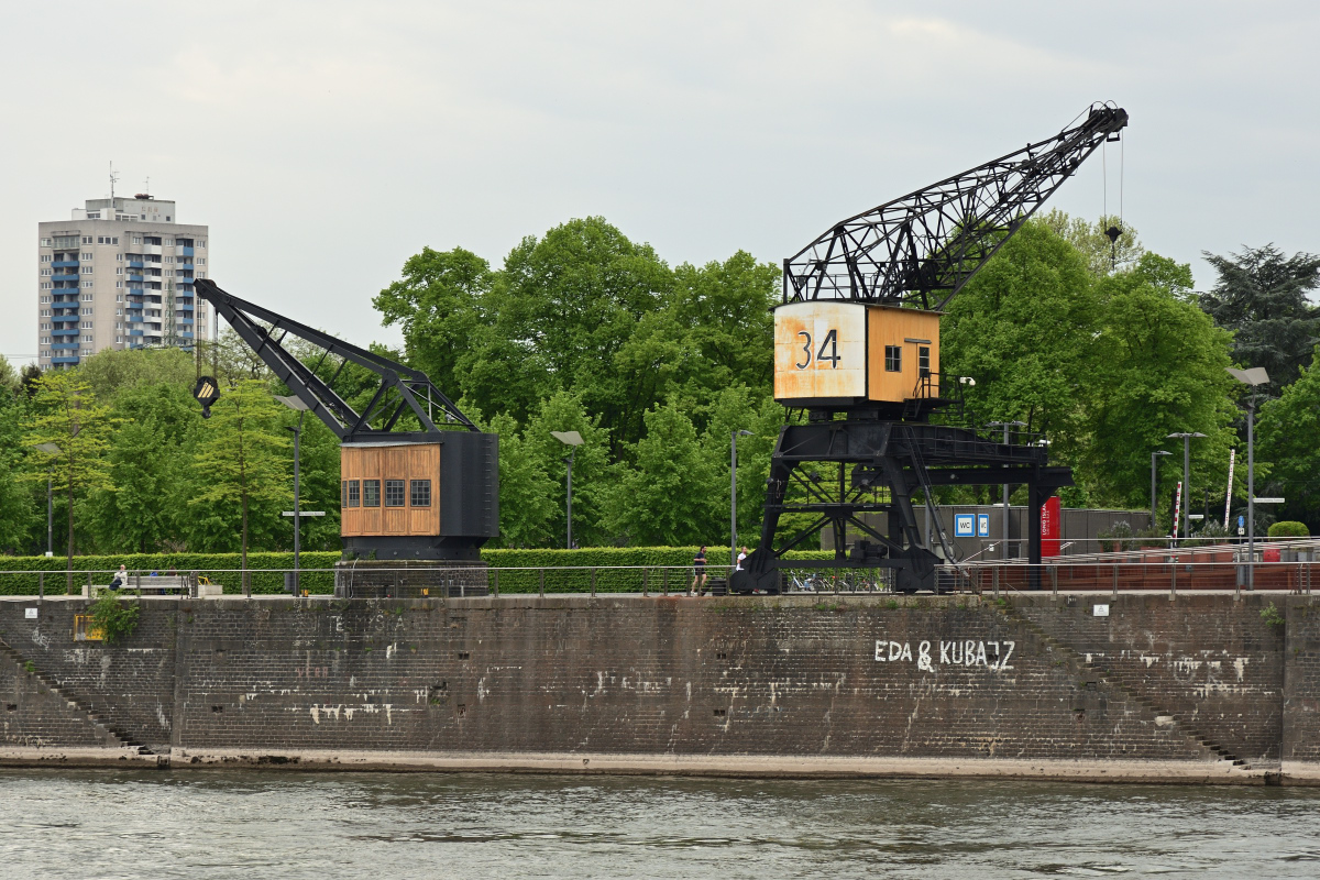 DSC_1009.JPG
