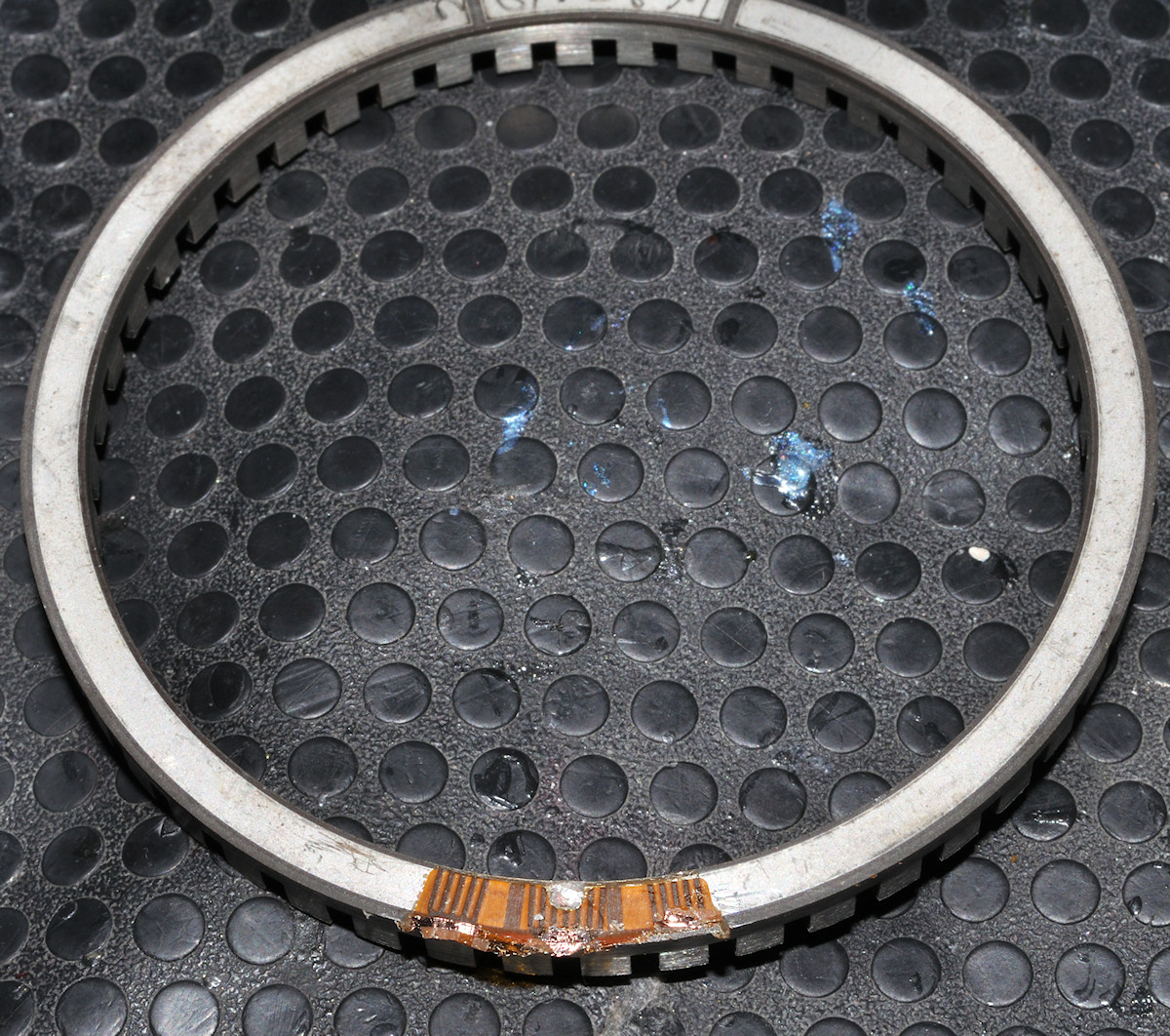 DSC_10105.jpg