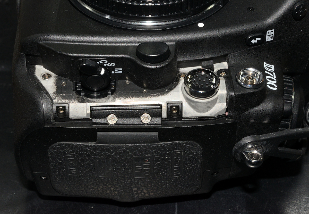 DSC_10275.jpg