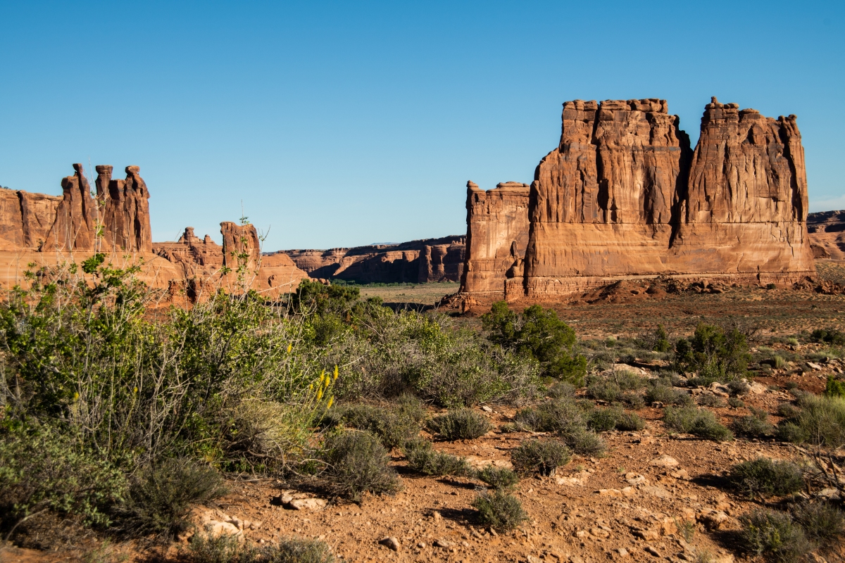 DSC_1034.jpg