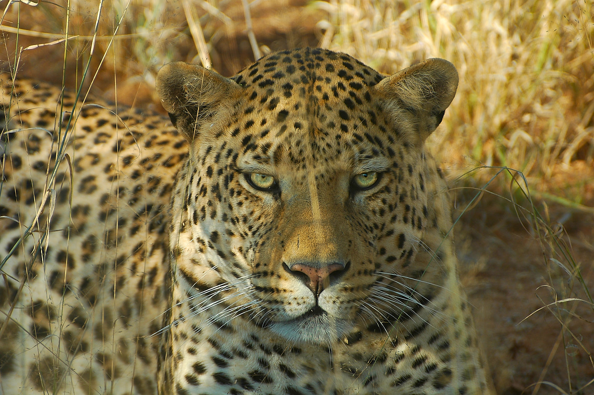 DSC_1042.jpg