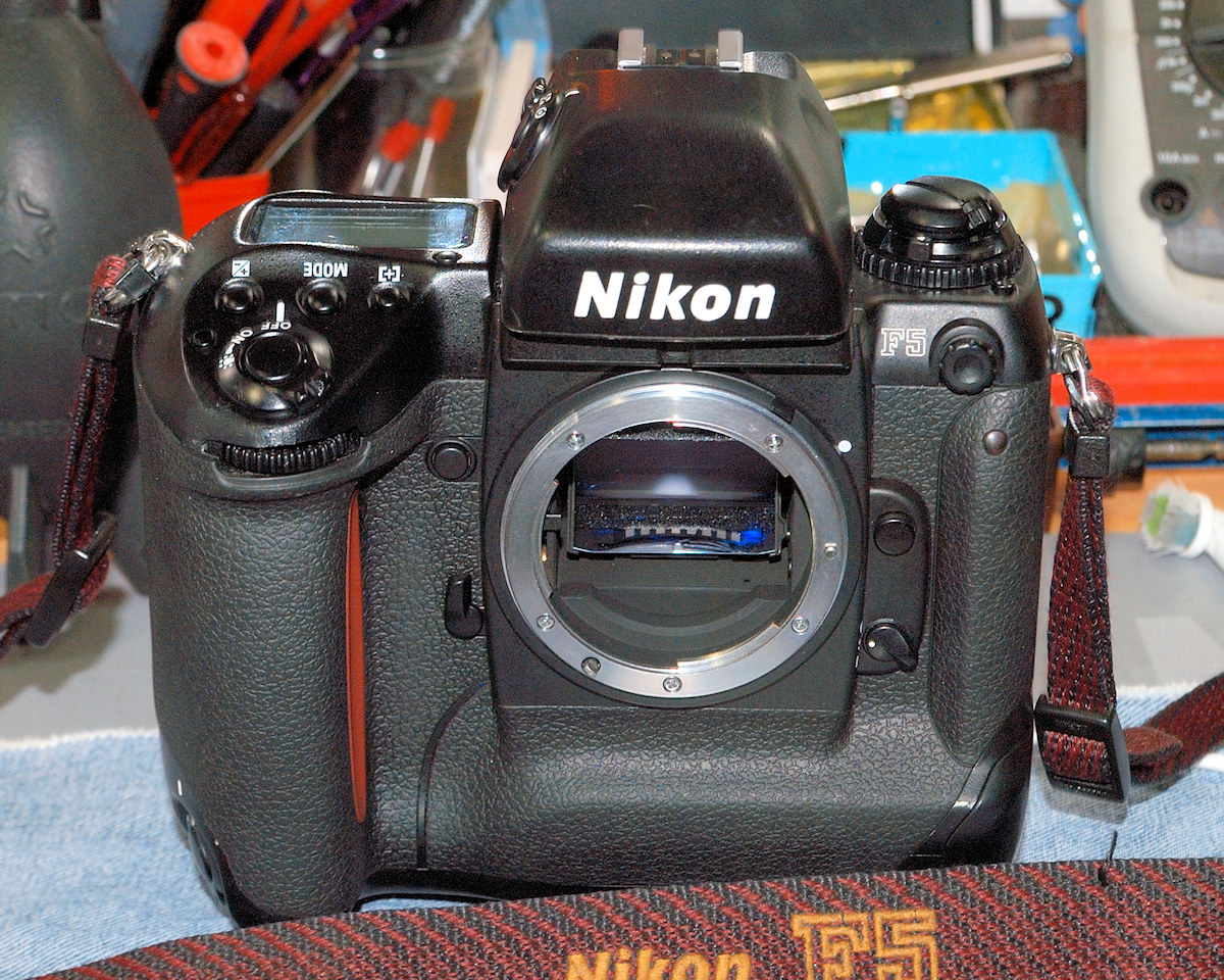 DSC_10436.jpg