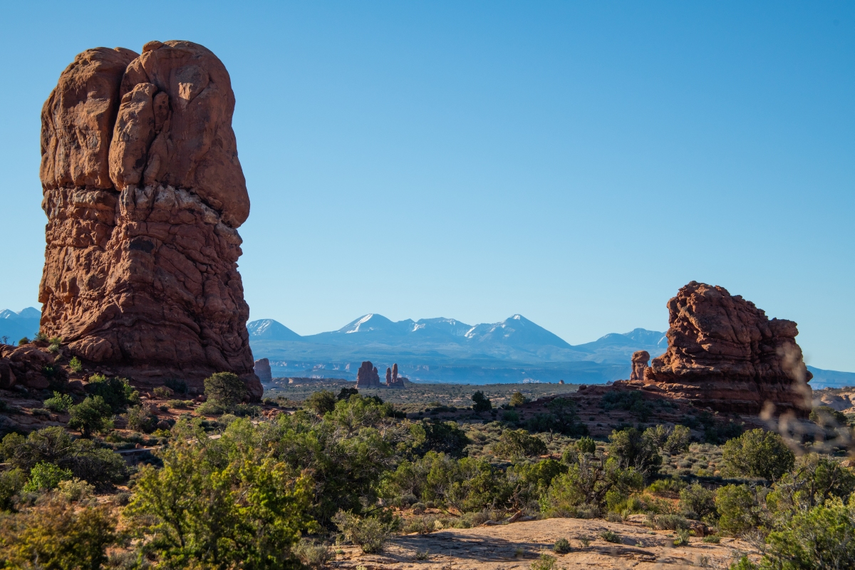DSC_1048.jpg