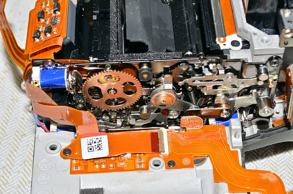 DSC_10610.jpg