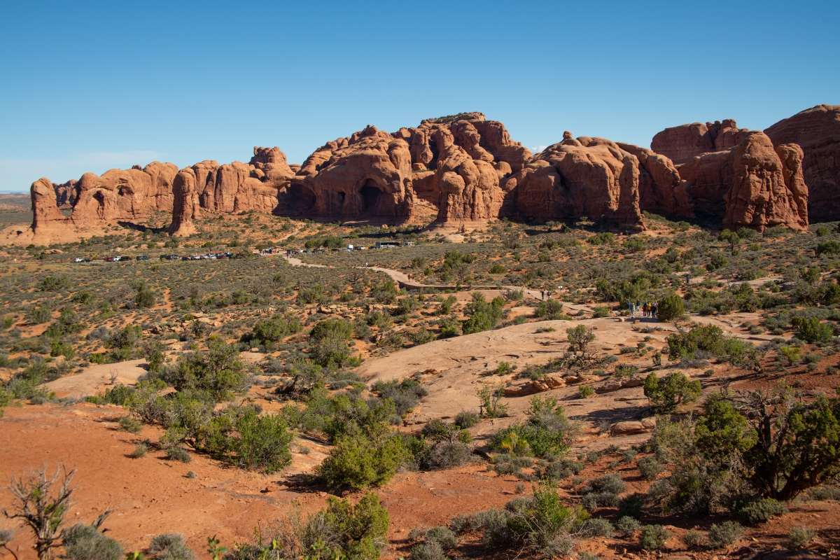DSC_1065.jpg