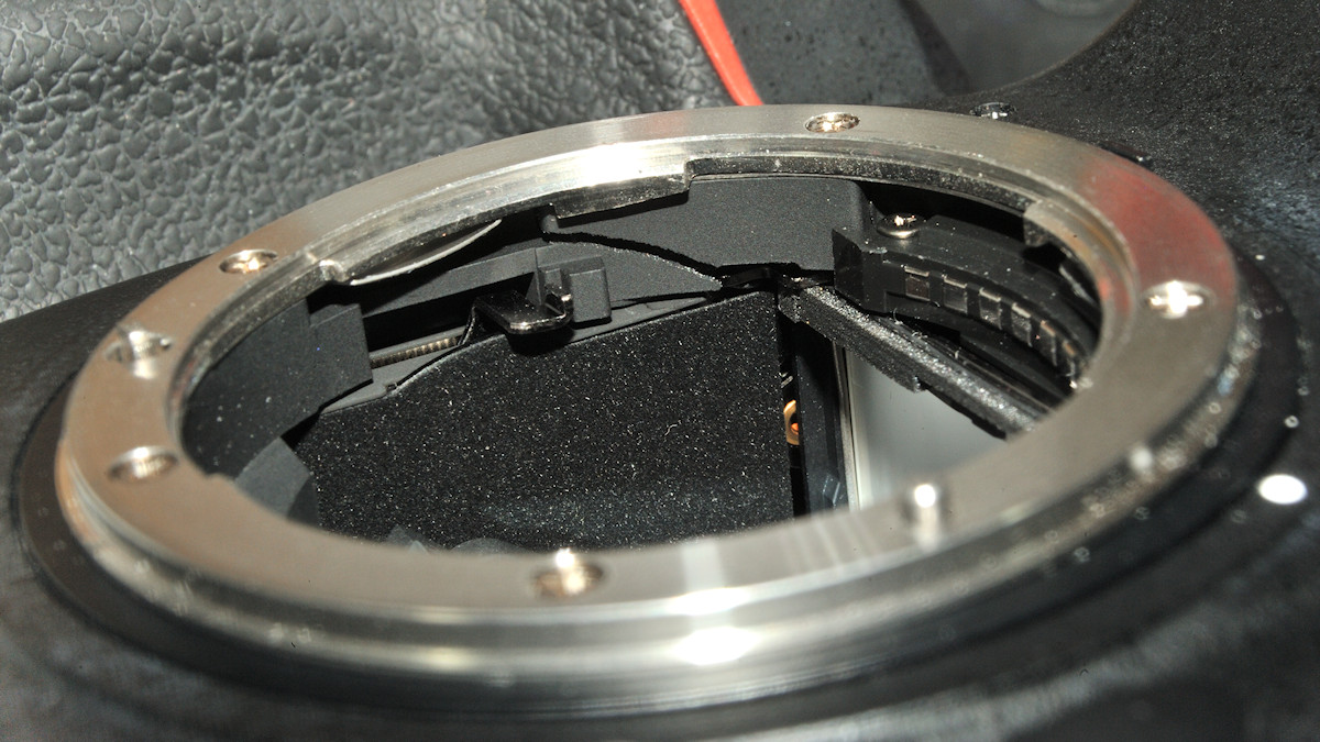 DSC_10693.jpg