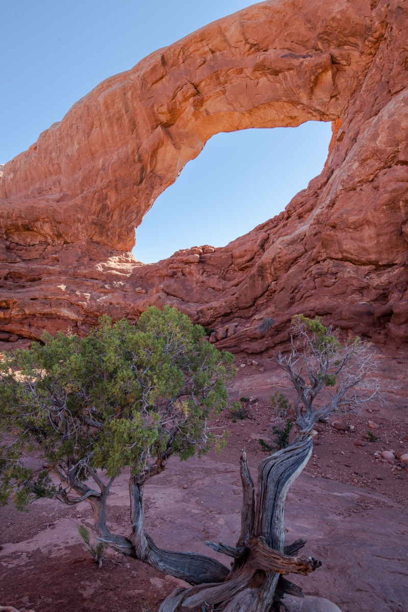 DSC_1072.jpg