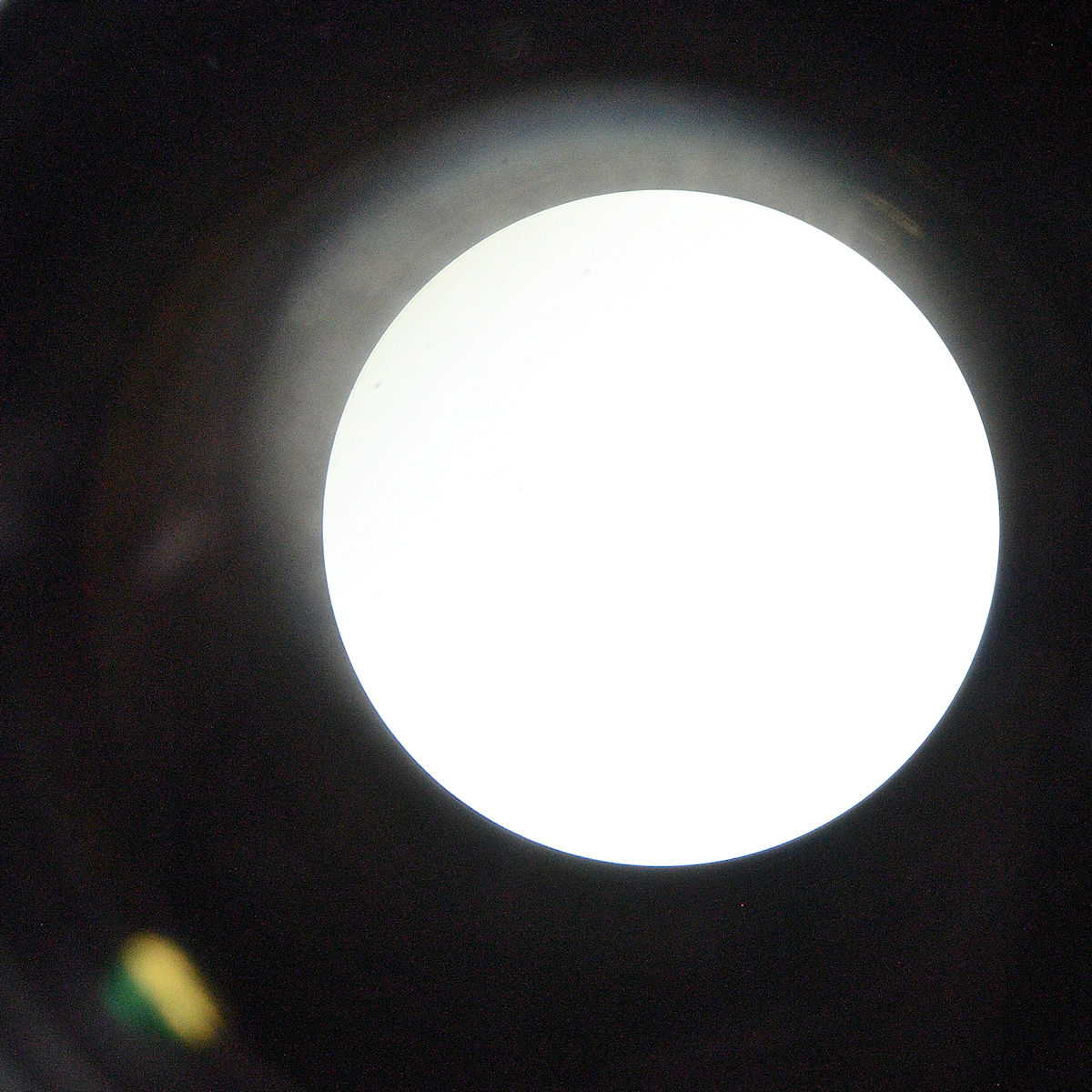 DSC_10737.jpg