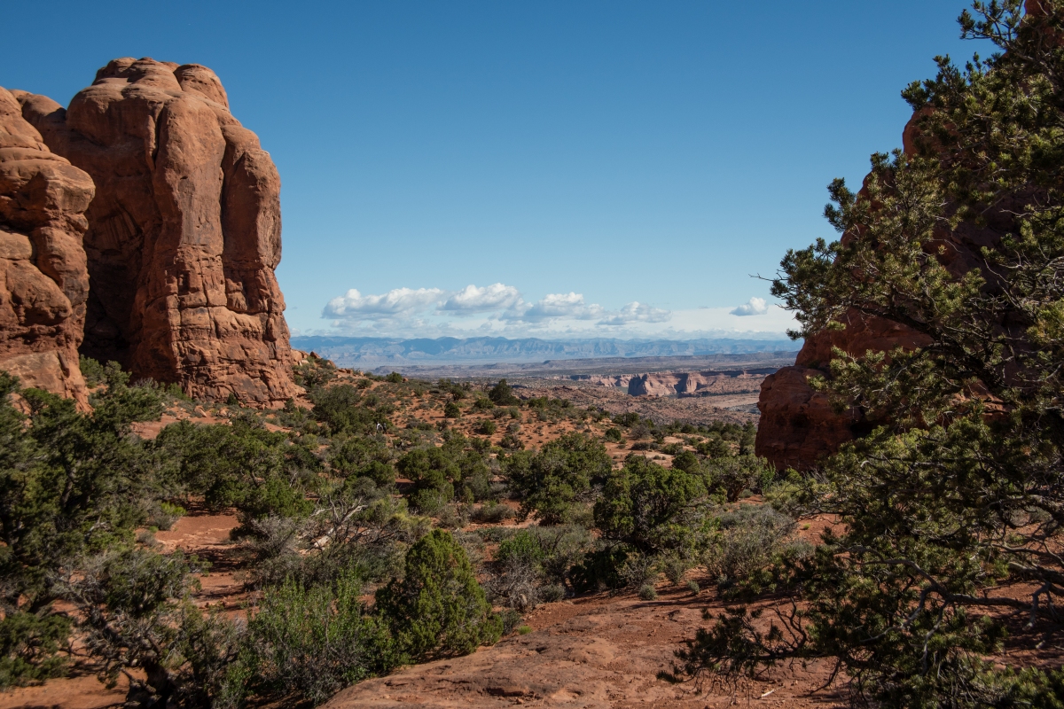 DSC_1076.jpg