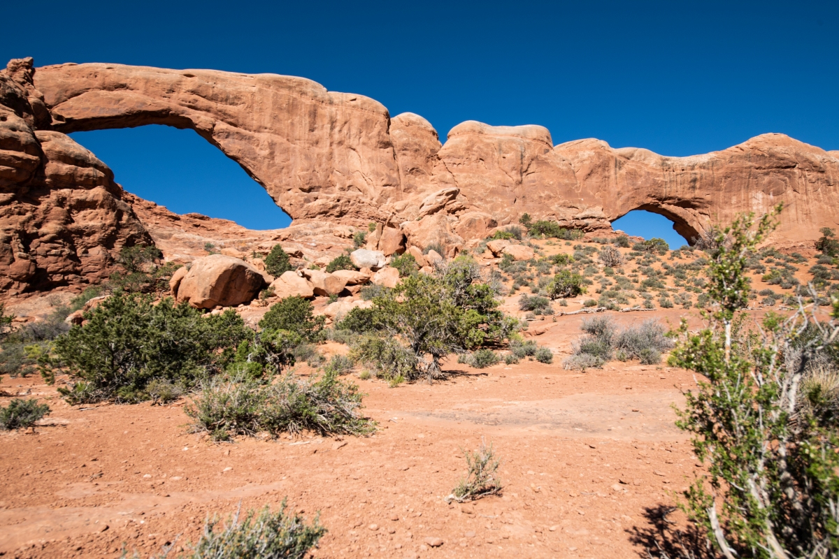 DSC_1077.jpg