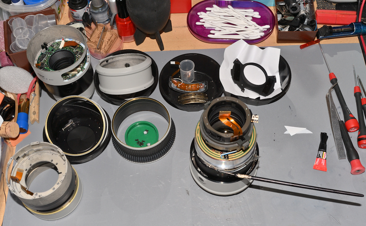 DSC_10892.jpg
