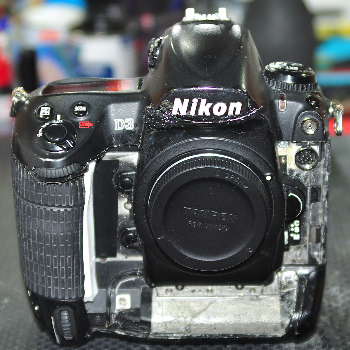 DSC_10936.jpg