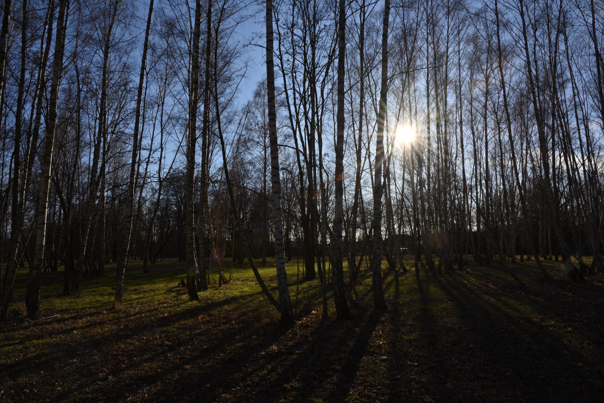 DSC_1098.JPG