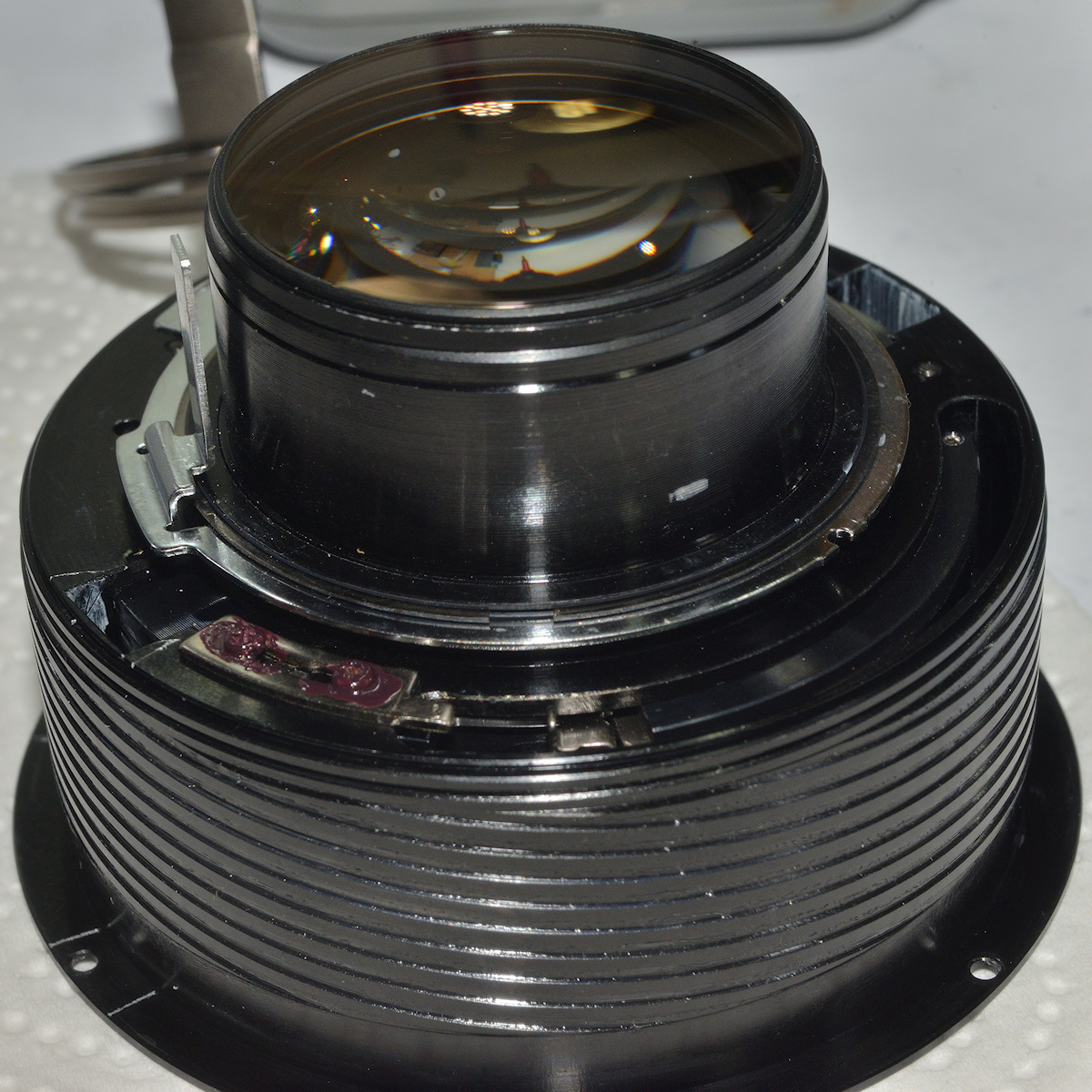 DSC_10980.jpg