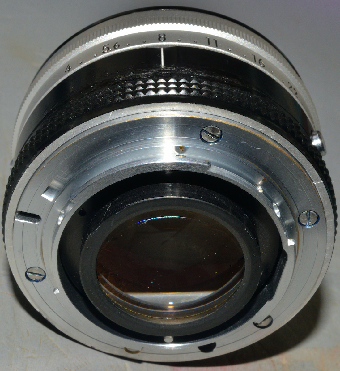 DSC_10990.jpg