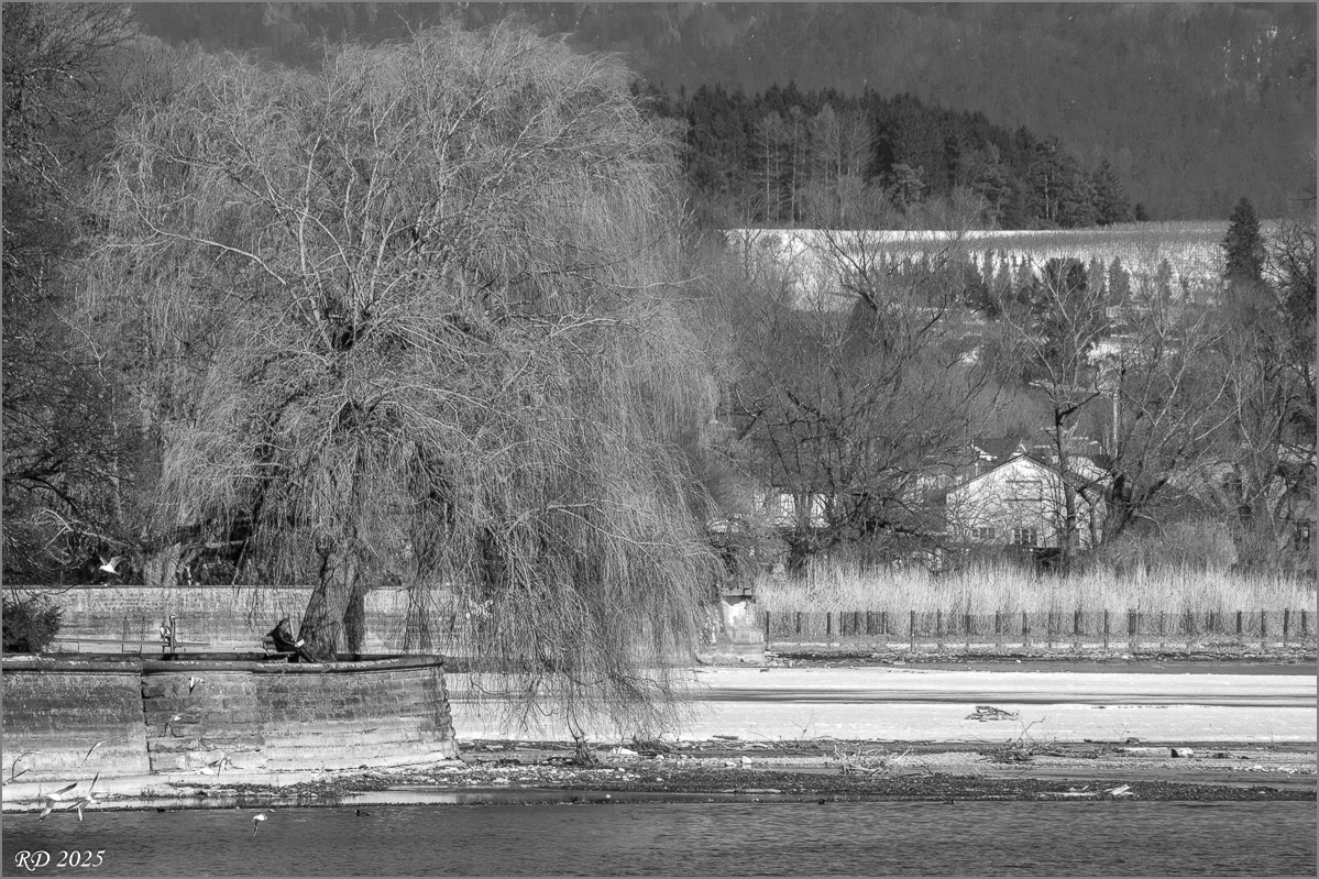 DSC_1102-Bearbeitet.jpg