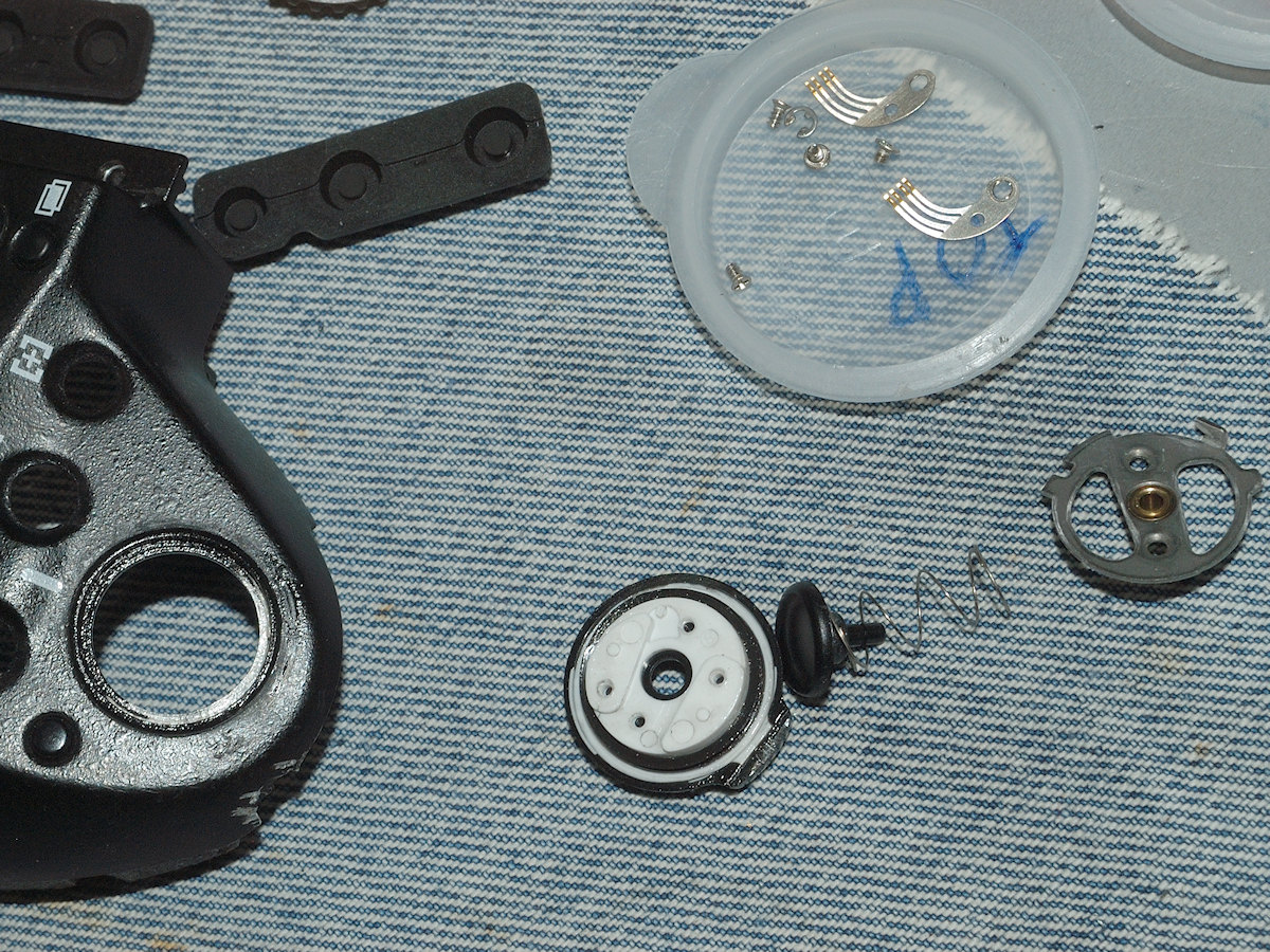 DSC_11028.jpg