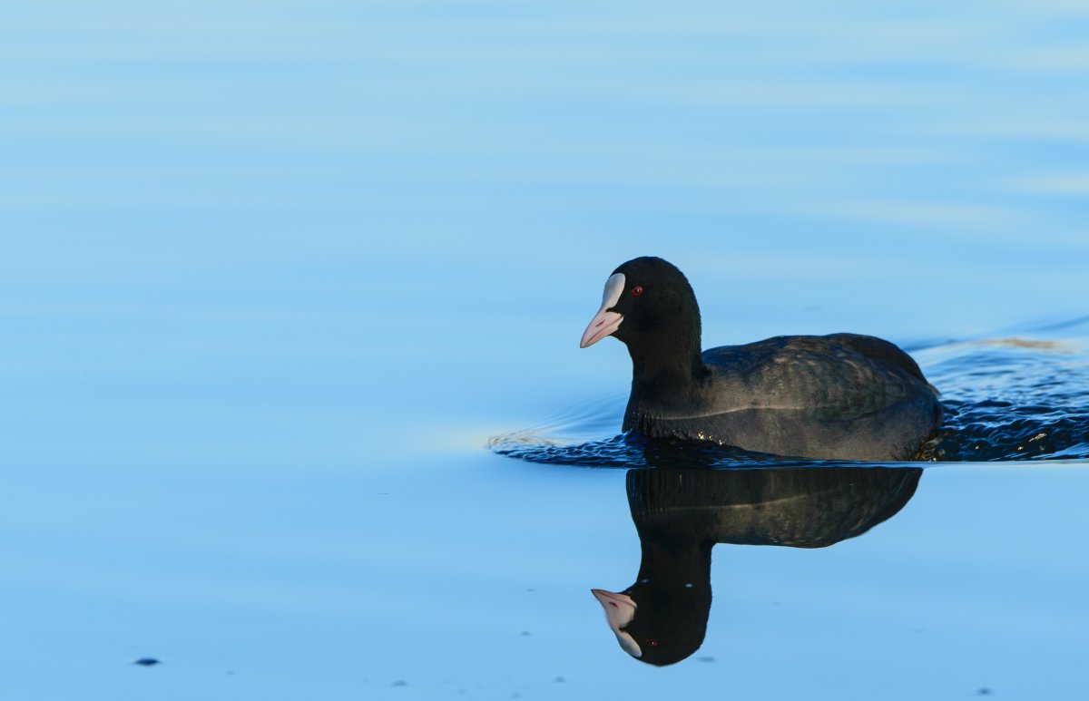 DSC_1108.jpg