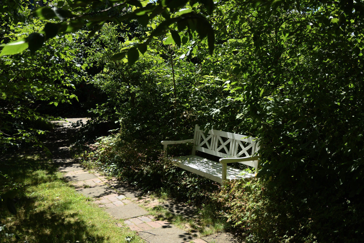 DSC_1114.JPG