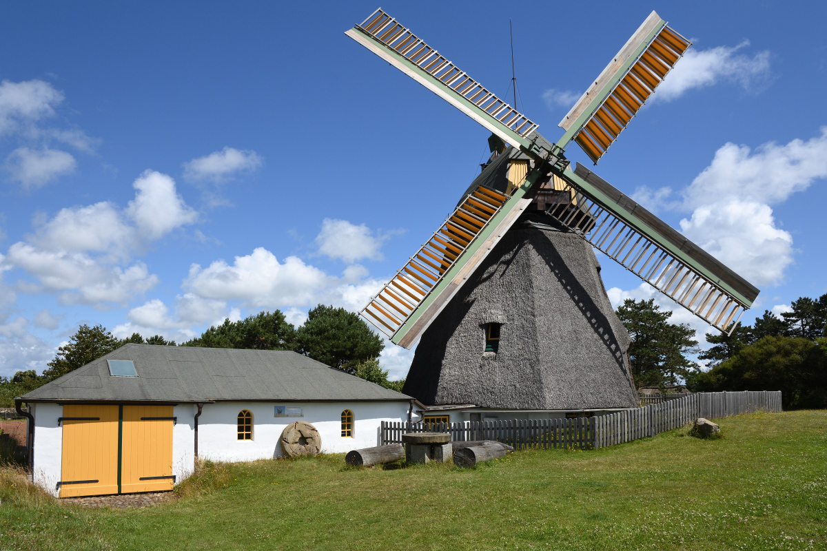 DSC_1123.JPG