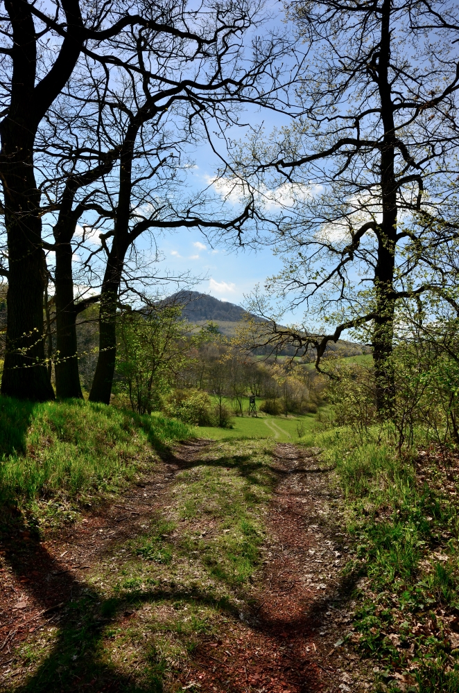 DSC_1124_00001n2.jpg
