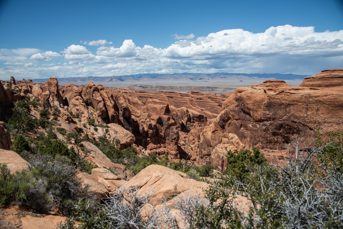 DSC_1128.jpg