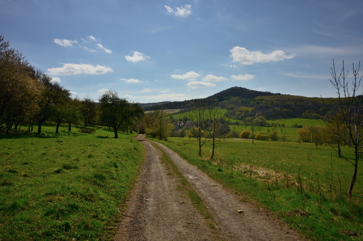 DSC_1131_00001n.jpg